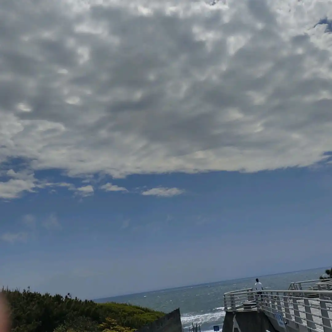 師範の公式TikTok